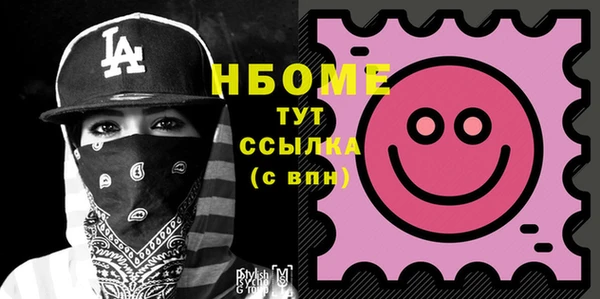 индика Дмитров