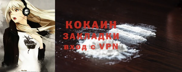 шишки Тында