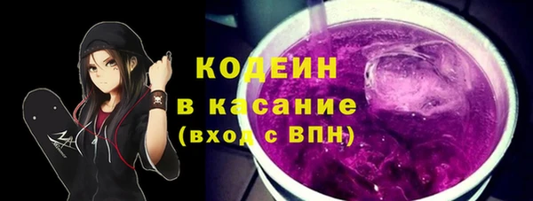 индика Дмитров