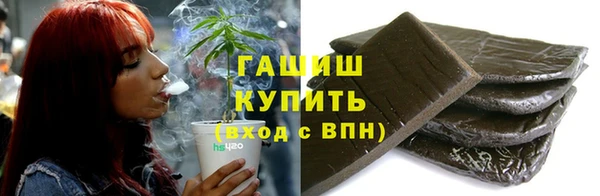 индика Дмитров