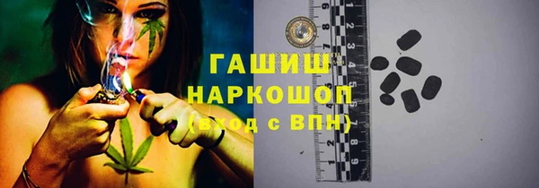 индика Дмитров
