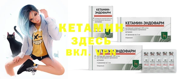 твердый Дмитриев