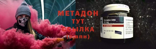 индика Дмитров