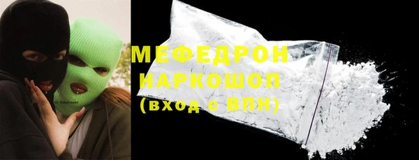 индика Дмитров