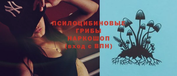 индика Дмитров