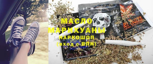 индика Дмитров