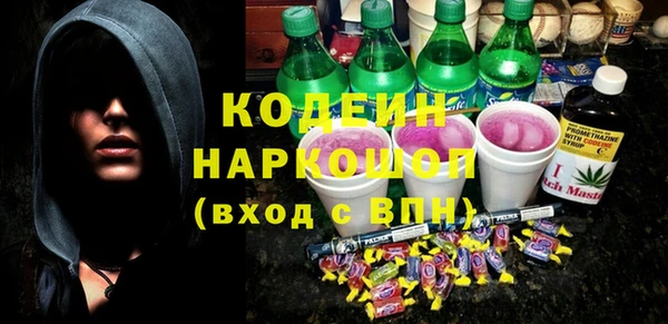 индика Дмитров