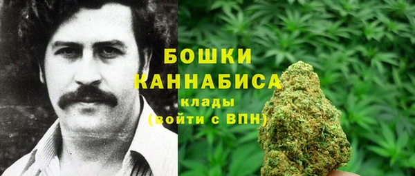 индика Дмитров