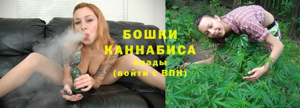 твердый Дмитриев