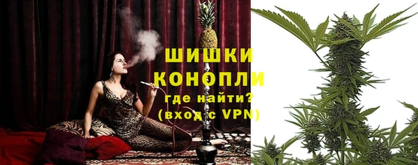 твердый Дмитриев