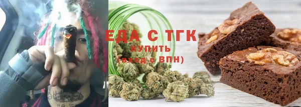 индика Дмитров