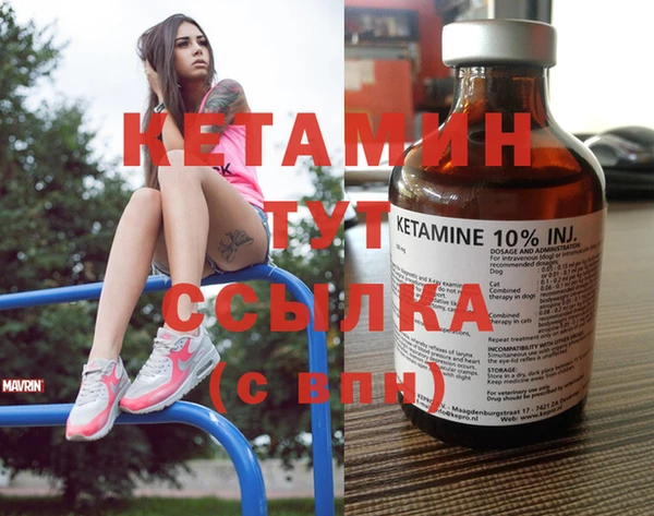 индика Дмитров