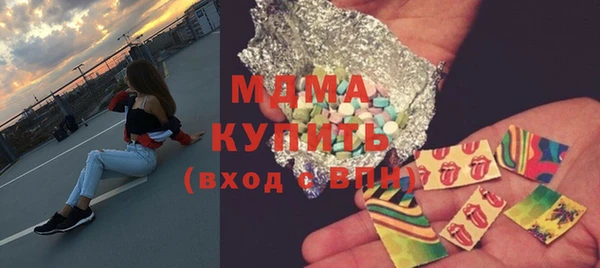 индика Дмитров