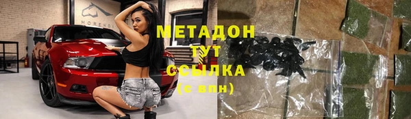 индика Дмитров