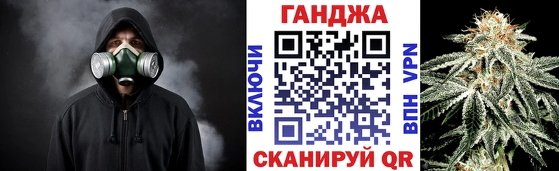сколько стоит Пойковский Каннабис сатива